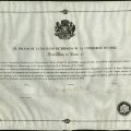 Diploma de Protomedico